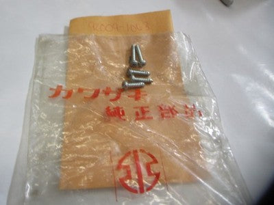 NOS NEW OEM KAWASAKI VN750 EN450 TAPPING SCREW  92009-1063 SOLD AS 5