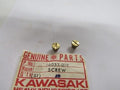 NOS Kawasaki KZ400 KZ 400 1974-1977 Genuine Carburetor Screw Plug OEM 16033-019
