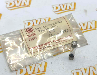 OEM Kawasaki 26006-2001, 6A-120 V Fuse NOS