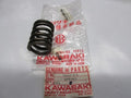 NOS GENUINE KZ750 TWIN OUTER VALVE SPRING 12007-015