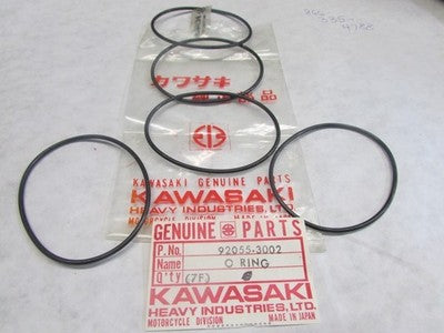 NOS Kawasaki 86-87 KLF300 88-00 ZX1100 KAF620 Nut Lock 10mm Qty2 92015-1522
