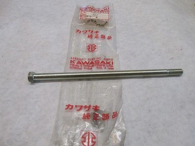 Kawasaki NOS NEW 113B10215 Hex Head Bolt 10x215 F7 F11 F11M 250