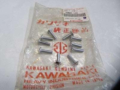 Kawasaki 1989-1989 Ninja 600R White Cowling Screw 5x20 92009-1491  SOLD AS 10