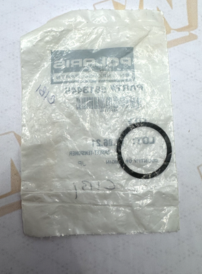 Polaris Tensioner Gasket, OEM - 5813449