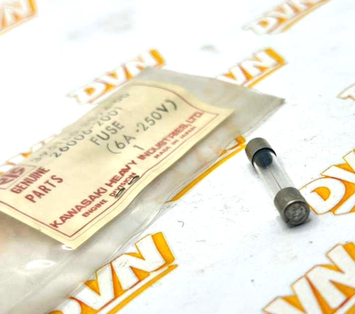 OEM Kawasaki 26006-2001, 6A-120 V Fuse NOS