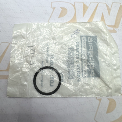 Polaris Tensioner Gasket, OEM - 5813449