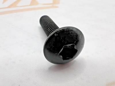 BRP 250000807 Torx Truss Screw M6x25 Can-Am Commander Defender Maverick