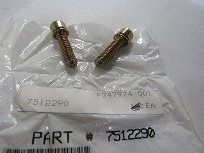 Bolt Socket Head Big Trail Boss 250 350 400 7512290 SOLD AS 2