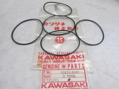 NOS Kawasaki 86-87 KLF300 88-00 ZX1100 KAF620 Nut Lock 10mm Qty2 92015-1522