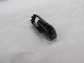 Suzuki NOS RM100,125 TS100,125,185,400 1978-81 Right Footrest 43550-29300