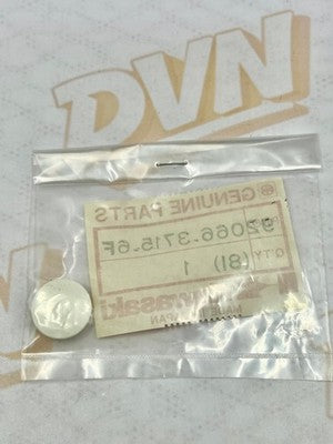 Kawasaki NOS NEW 92066-3716-6F Plug