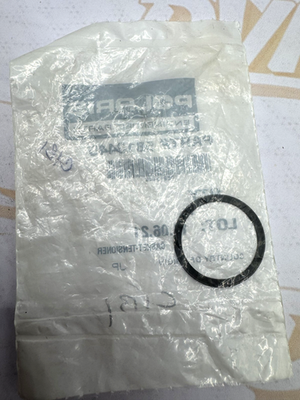 Polaris Tensioner Gasket, OEM - 5813449