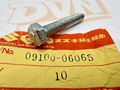 NOS NEW OEM ORIGINAL SUZUKI RV90 TC125 TS125 TS185 BOLT 09100-06065