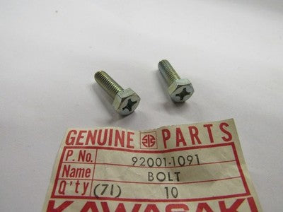 Kawasaki NOS NEW 92001-1091 Fuel Tap Bolt 6x20 AN AX EJ EN EX KD KE KL  SOLD AS2