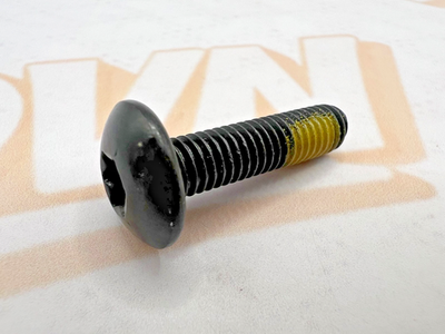 BRP 250000807 Torx Truss Screw M6x25 Can-Am Commander Defender Maverick