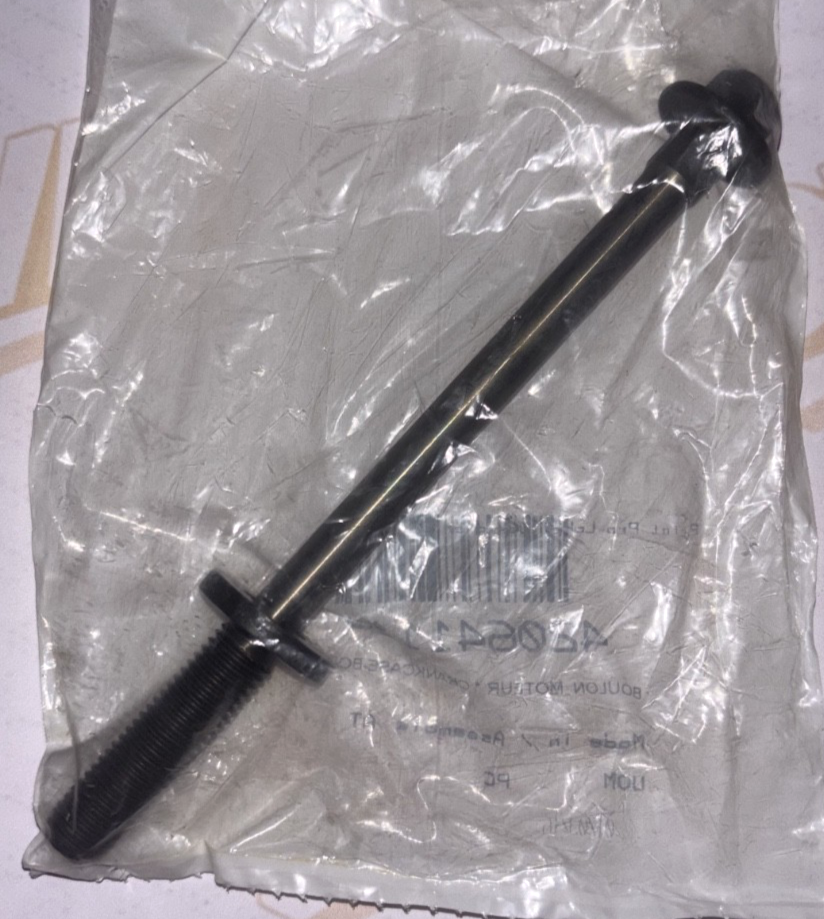 Crankcase Bolt OEM 420641116