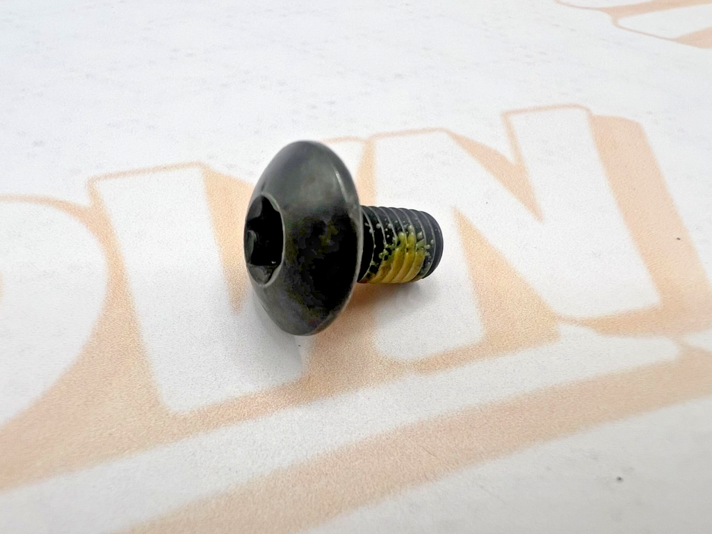 Can-Am Genuine Torx Screw M6 X 12 - 250000454