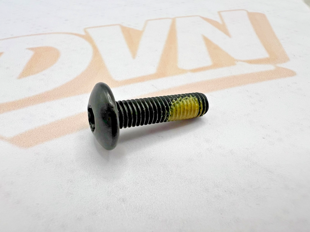 Can Am 250000724 Torx Screw 5x20 NOS