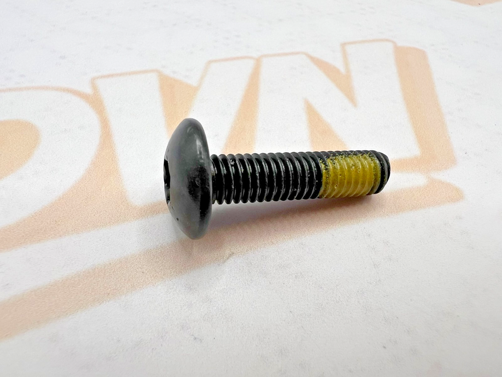 BRP 250000807 Torx Truss Screw M6x25 Can-Am Commander Defender Maverick