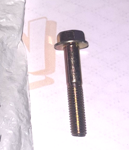 NOS Polaris Screw, 7516732
